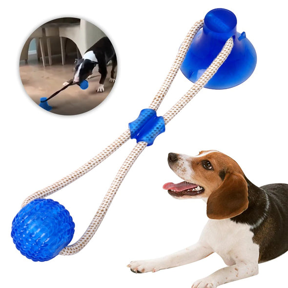 Suction Cup Dog Toy