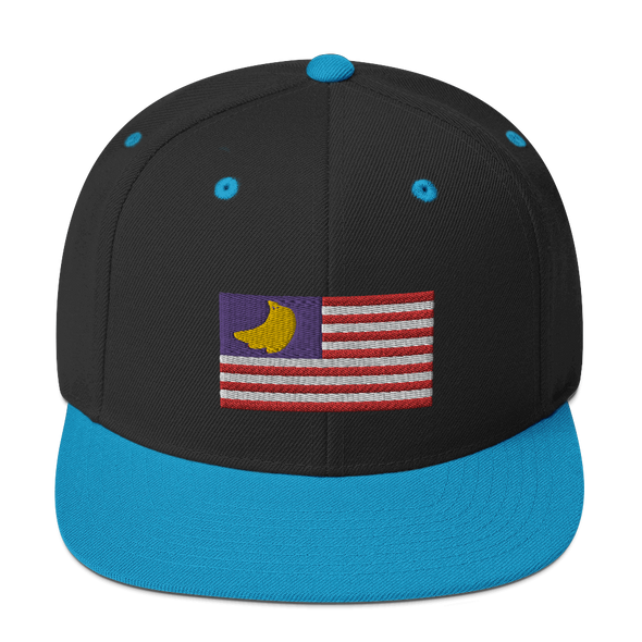 Banana Republic?? Snapback Hat