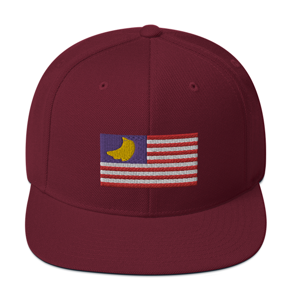 Banana Republic?? Snapback Hat