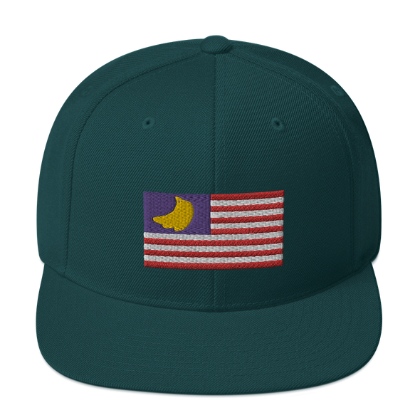 Banana Republic?? Snapback Hat