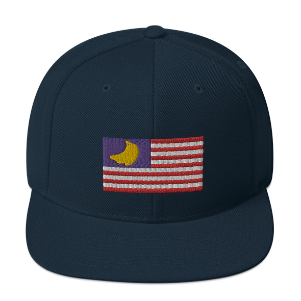 Banana Republic?? Snapback Hat