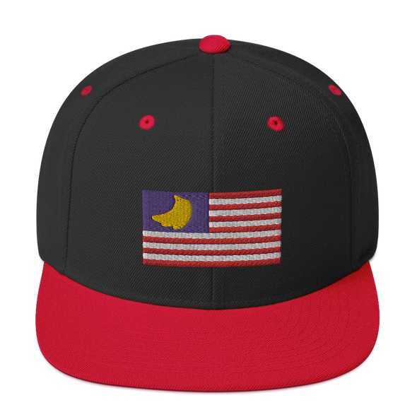 Banana Republic?? Snapback Hat