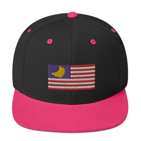 Banana Republic?? Snapback Hat