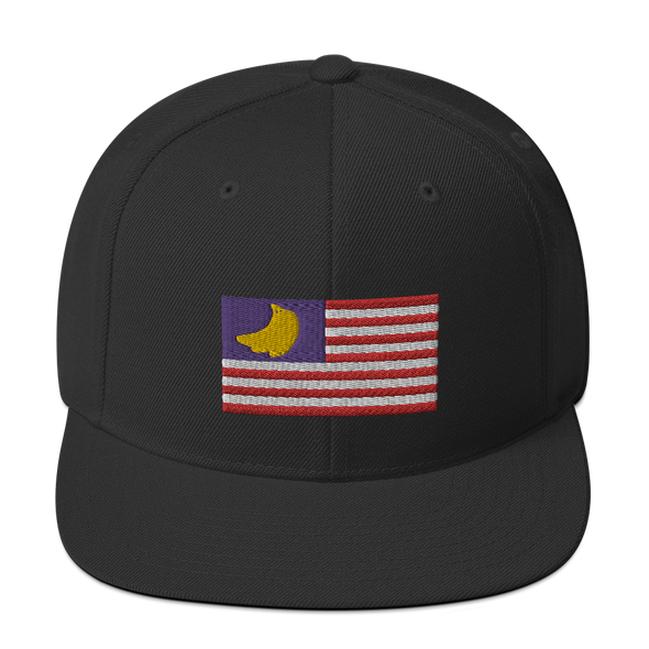 Banana Republic?? Snapback Hat
