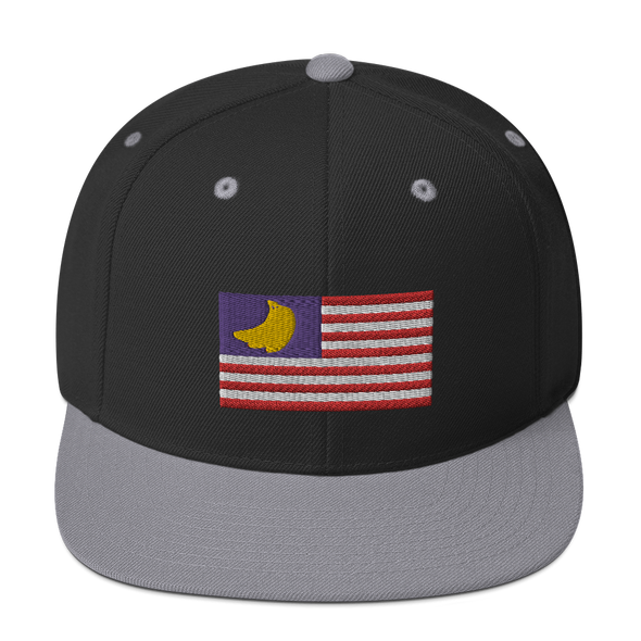 Banana Republic?? Snapback Hat