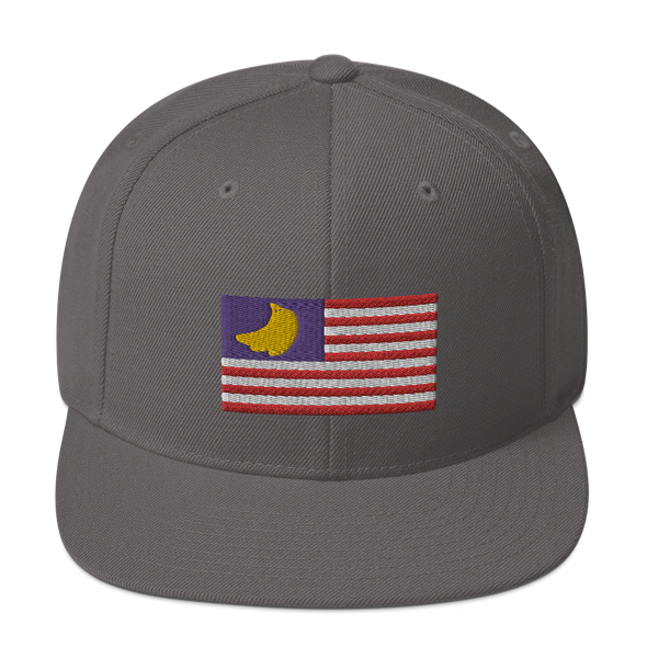 Banana Republic?? Snapback Hat