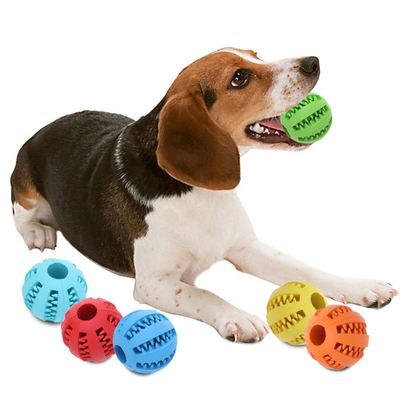 Interactive Rubber Balls For Dogs