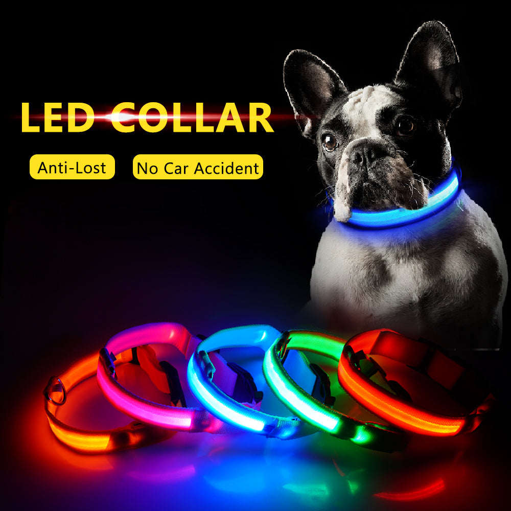 innovation vandrerhjemmet forholdet USB Charging Led Dog Collar Anti-Lost/Avoid Car Accident Collar For Do –  darskee Gifts and Things