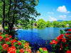 AZQSD DIY 50x40cm Paint By Numbers For Landscapes Home Decoration Oil Painting