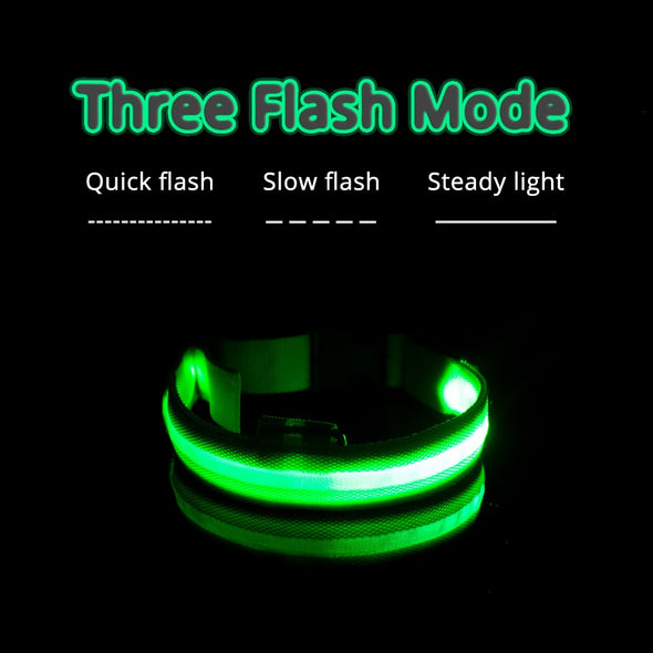 USB Charging Led Dog Collar Anti-Lost/Avoid Car Accident Collar For Dogs Puppies Dog Collars Leads LED Supplies Pet Products