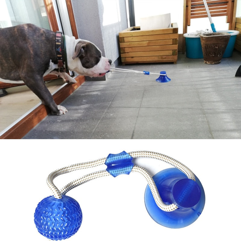 Dog Toys Pet Puppy Interactive Suction Cup Push TPR Ball Toys Molar Bi – darskee Gifts and Things