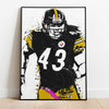 TROY POLAMALU